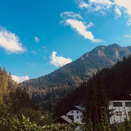 Apartment Tisa Solčava Zewnętrze zdjęcie