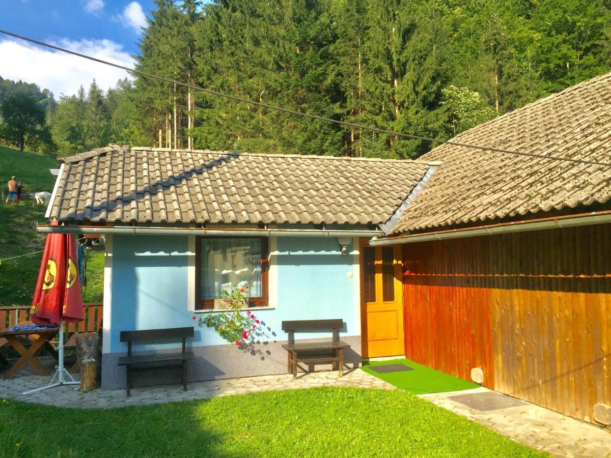 Apartment Tisa Solčava Zewnętrze zdjęcie