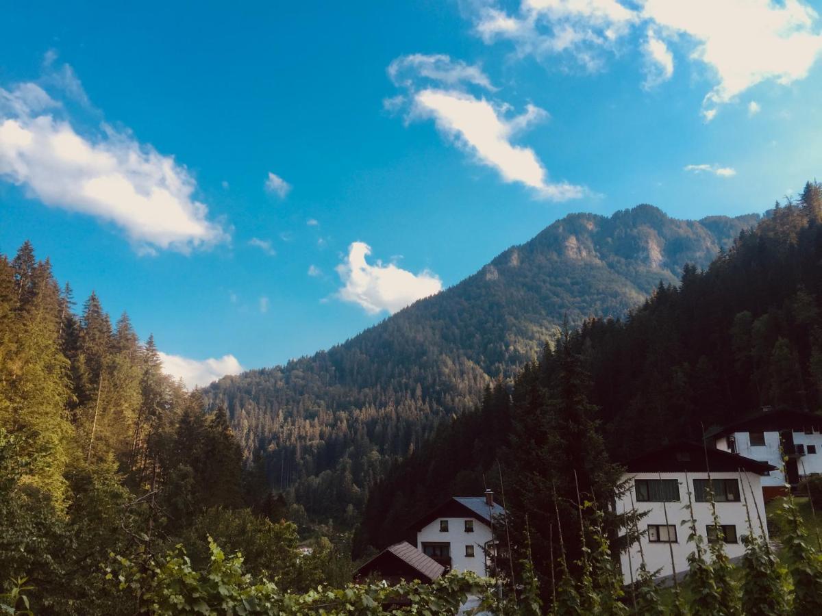 Apartment Tisa Solčava Zewnętrze zdjęcie