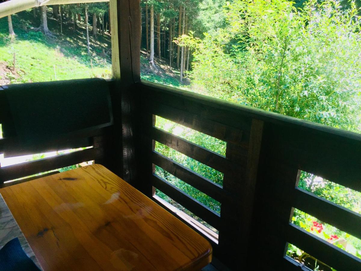 Apartment Tisa Solčava Zewnętrze zdjęcie